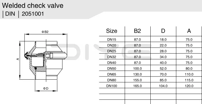 Sanitary Non Return Clamped Check Valve