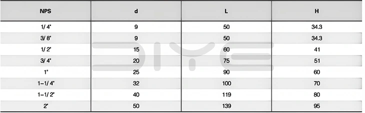 Stainless Steel Y-Type Strainer